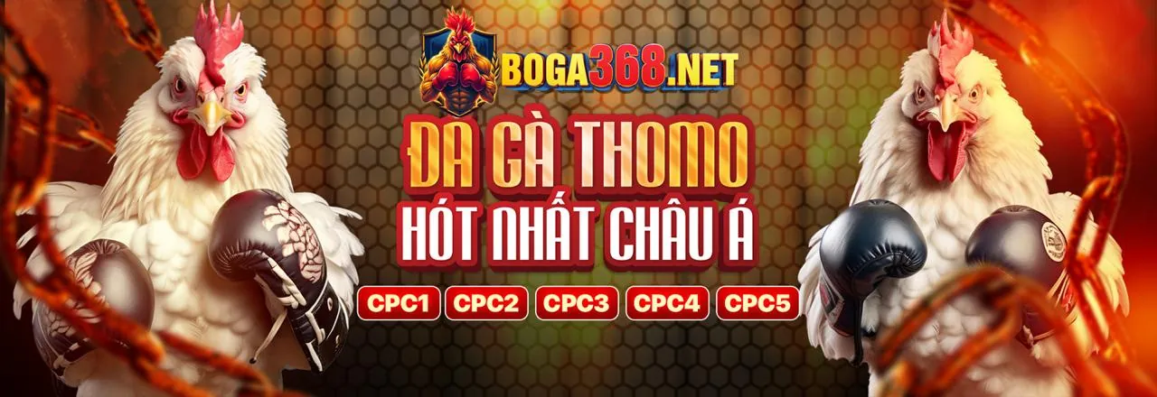 Các Phương Thức Thanh Toán An Toàn tại bet365 win