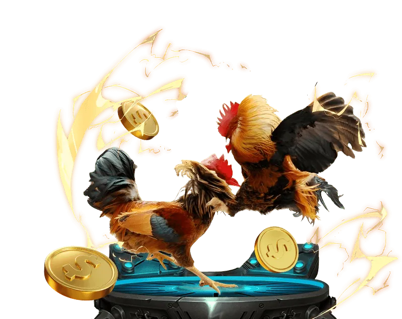 Các loại kèo cược đá gà tại bet365 Win